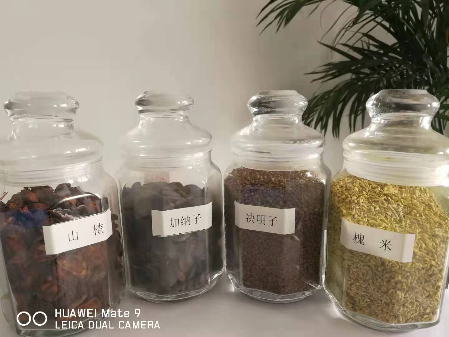 电商牡丹籽油